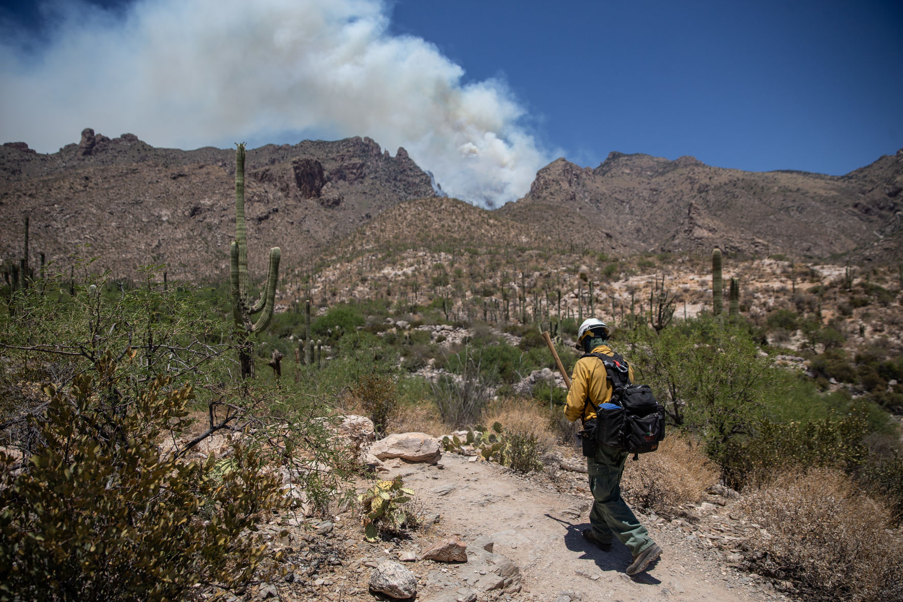 Bighorn Fire - Arizona
